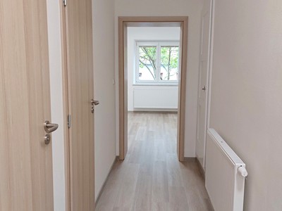 Pronájem bytu 2+1 60 m² (Jednopodlažní) — photo 5