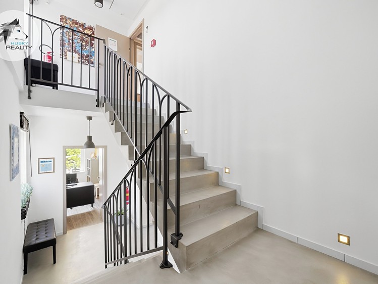 Prodej komerčního prostoru, 319 m² (68 z 80)