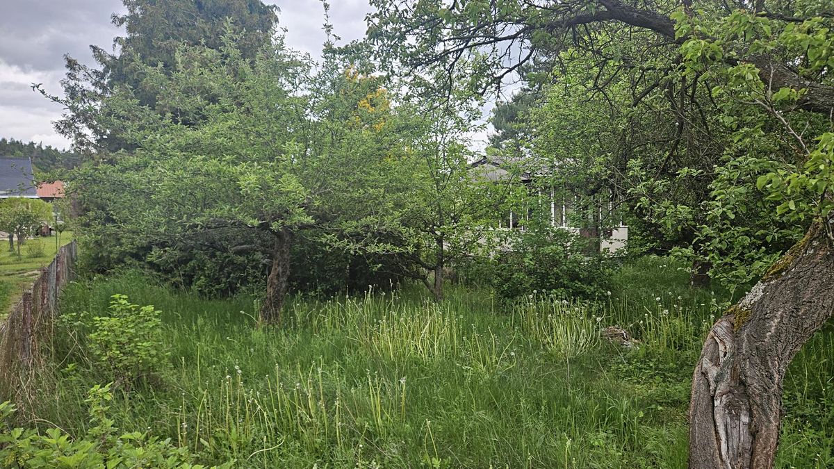Prodej chaty 21 m², pozemek 390 m² – fotografie 5