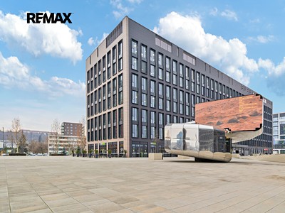 Pronájem kanceláře 319 m²