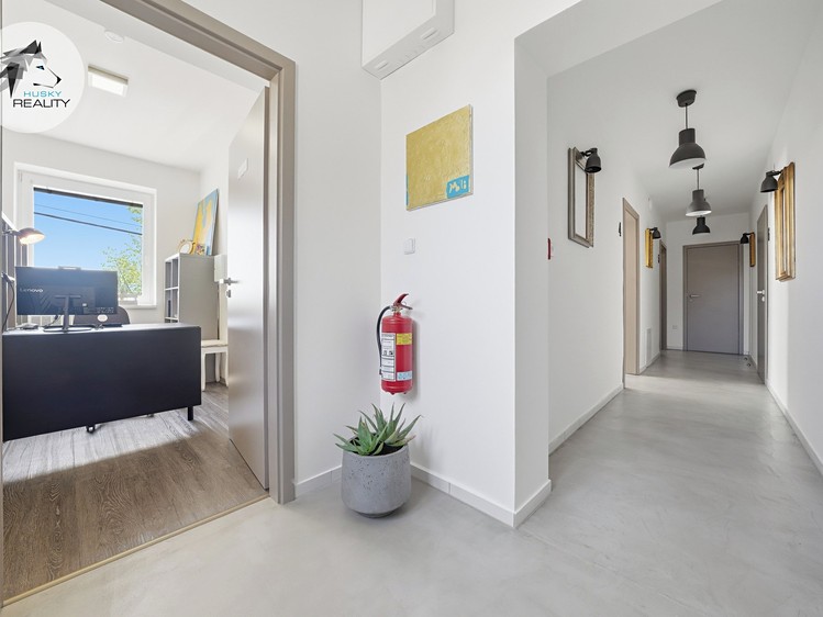 Prodej komerčního prostoru, 319 m² (63 z 80)