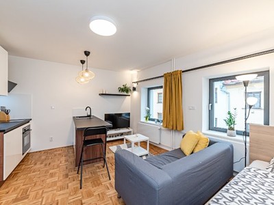 Pronájem bytu 1+kk 24 m²