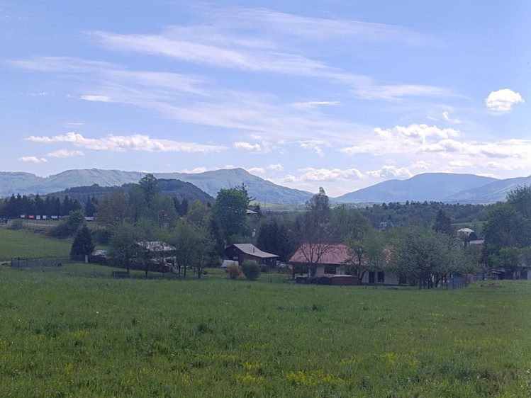 Grundstück zum Kauf, 2.338 m² (2 von 7)