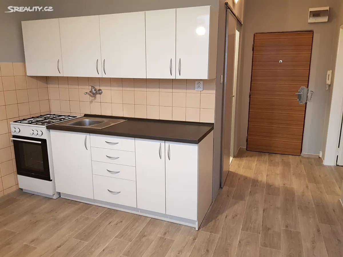 Pronájem bytu 1+1 34 m², Lechowiczova