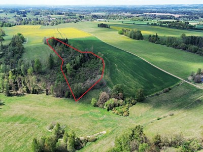 Prodej  lesa 18 833 m²