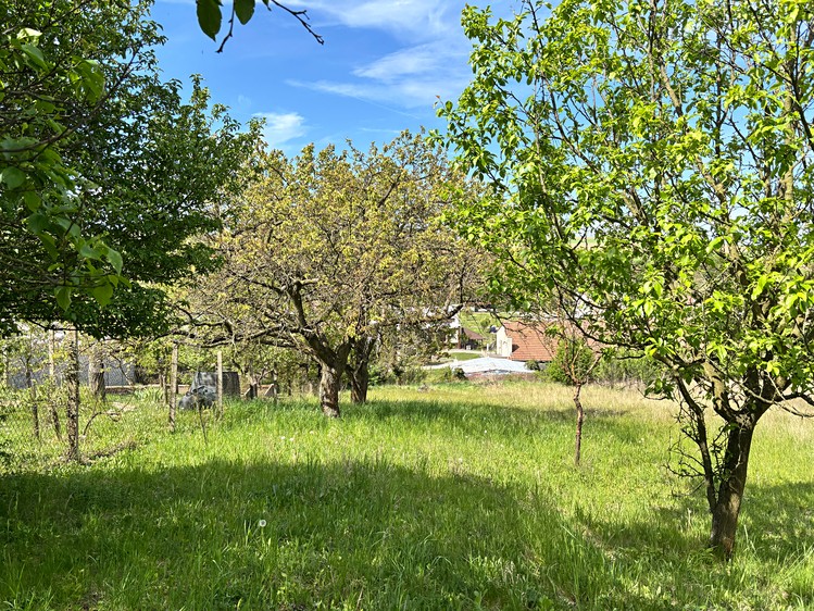 Grundstück zum Kauf, 1.088 m² (4 von 8)