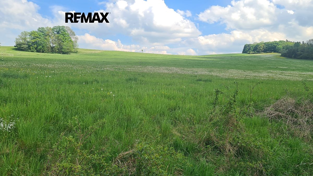 Prodej louky 7058 m²