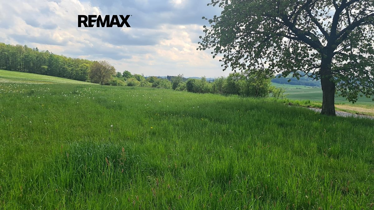 Prodej louky 7058 m² – fotografie 2