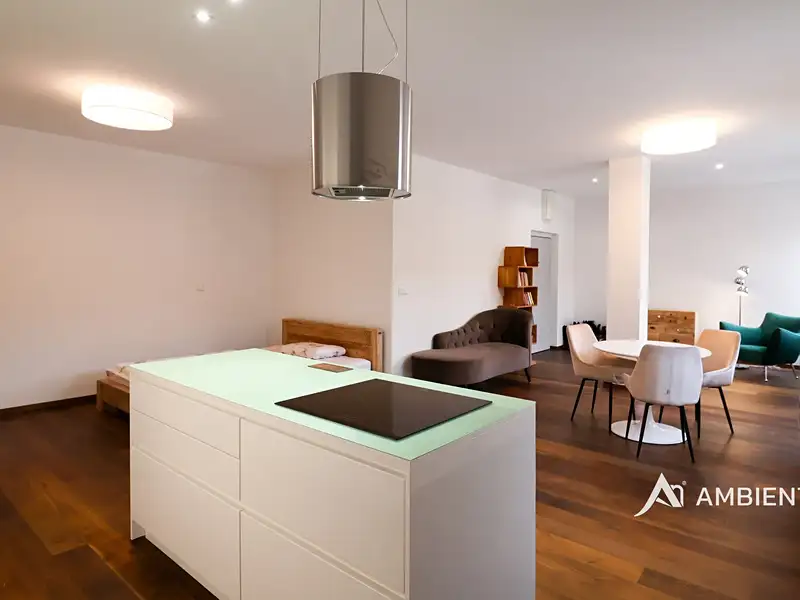 Pronájem bytu 1+kk 53 m², Brno – náhled fotky 1