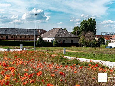 Prodej  stavebního pozemku 1 280 m² — photo 5
