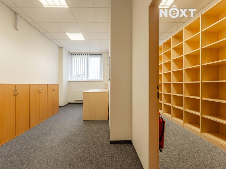 Комерційне приміщення в оренду, 251 м² (11 з 30)