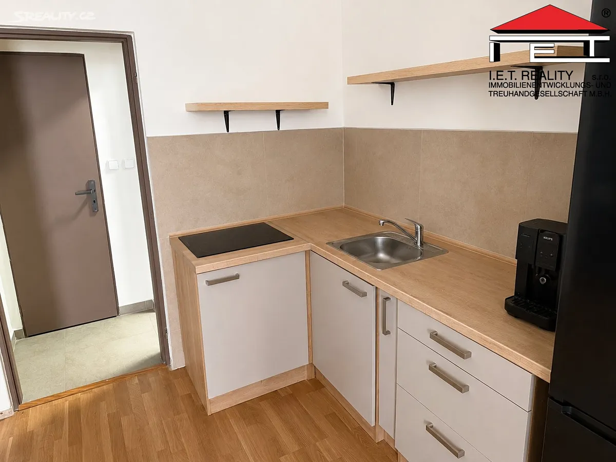 Pronájem bytu 1+kk 45 m² - View 4