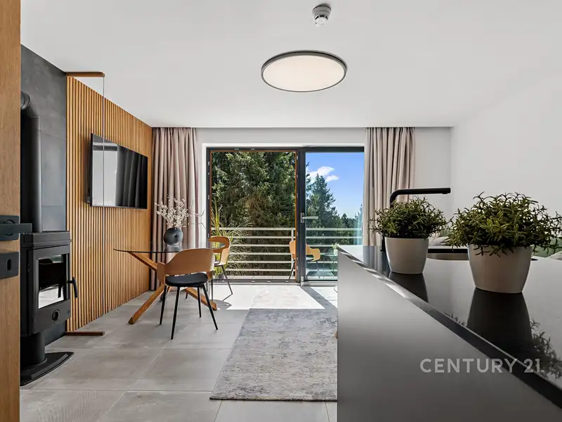 Prodej bytu 3+kk 76 m², Černý Důl – náhled fotky 2