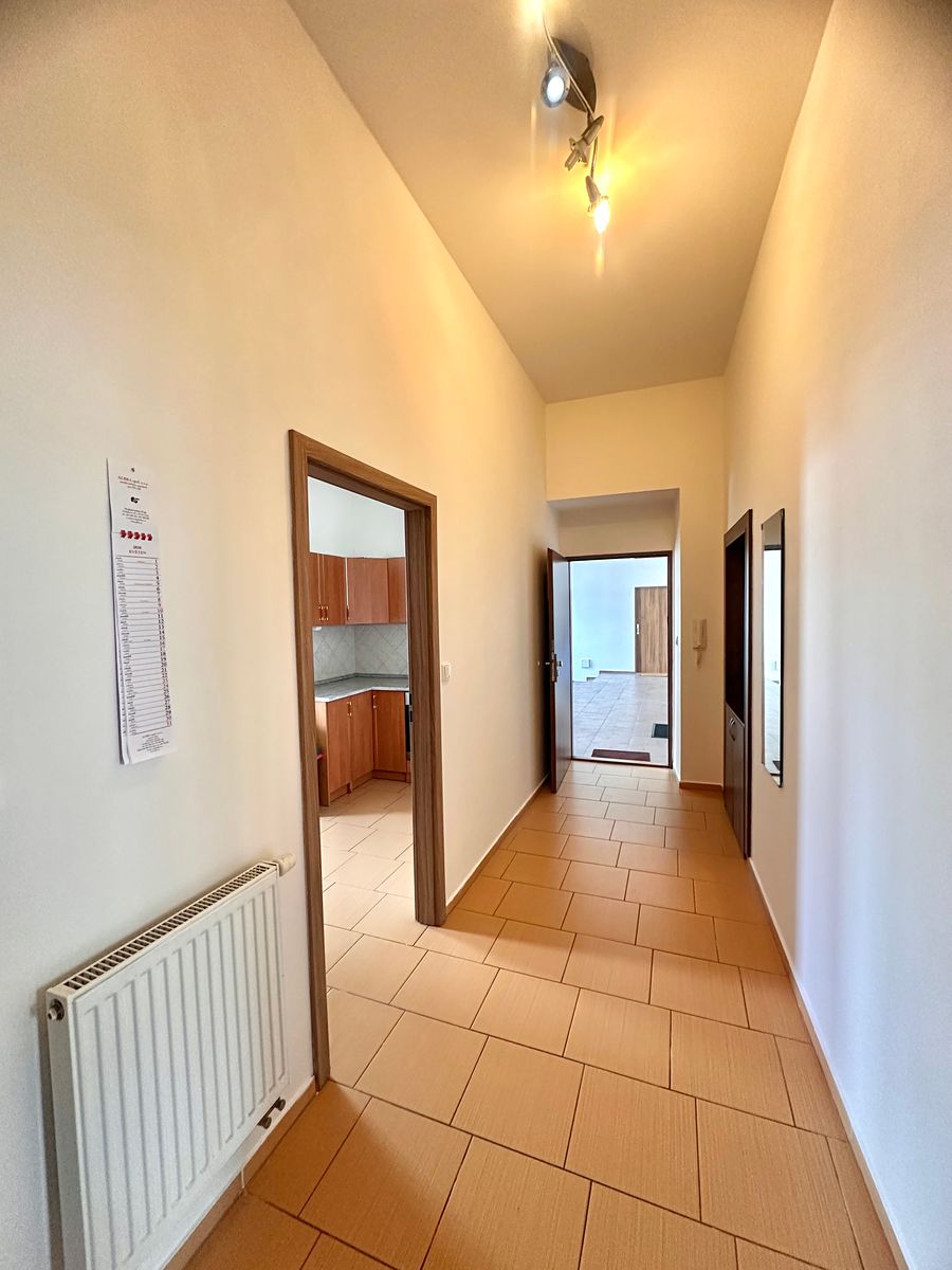 Pronájem bytu 1+1 65 m² – fotografie 5
