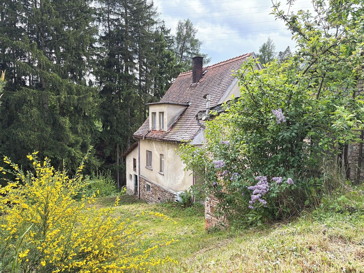 Prodej rodinného domu 200 m², pozemek 5219 m² – fotografie 3