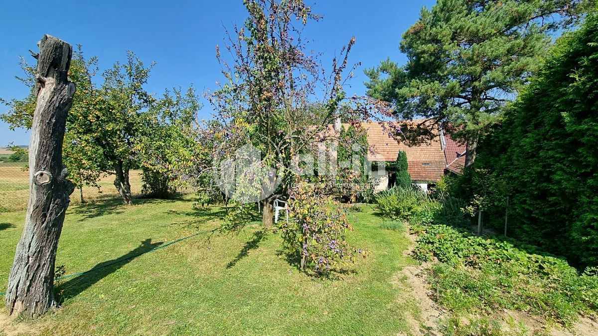 Prodej rodinného domu 70 m², pozemek 1145 m² – fotografie 5