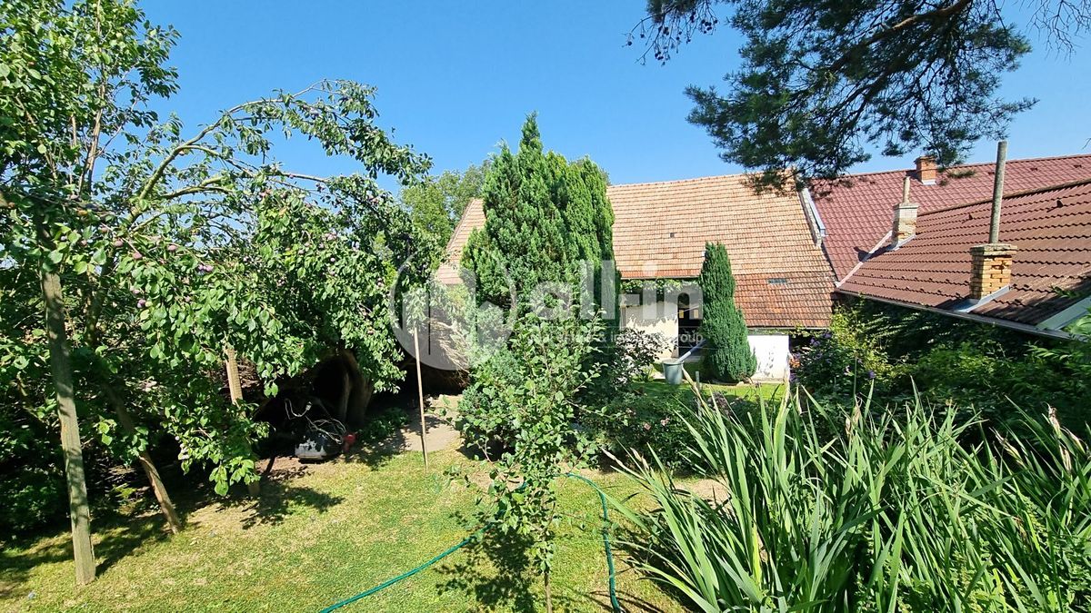Prodej rodinného domu 70 m², pozemek 1145 m² – fotografie 4
