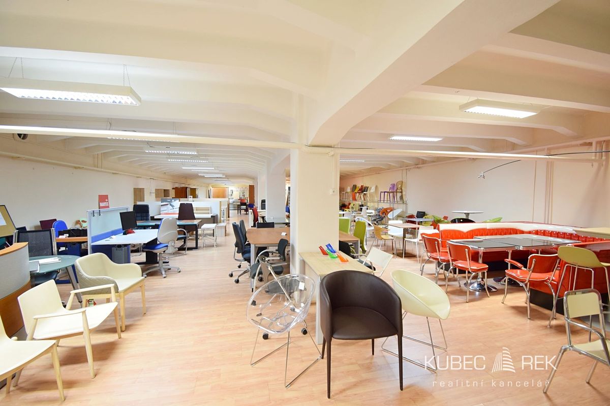 Pronájem obchodního prostoru 490 m² – fotografie 2