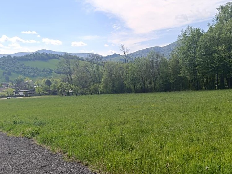 Grundstück zum Kauf, 1.484 m² (3 von 6)