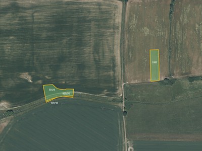Prodej  pole 11 020 m² — photo 3