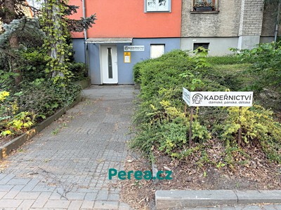 Pronájem komerční nemovitosti 30 m²