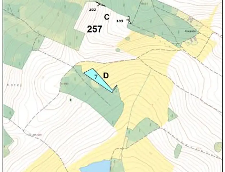 Prodej lesa 4226 m², Horní Radouň – náhled fotky 3