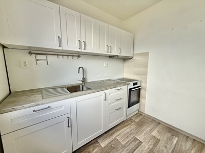 Pronájem bytu 1+1 40 m²