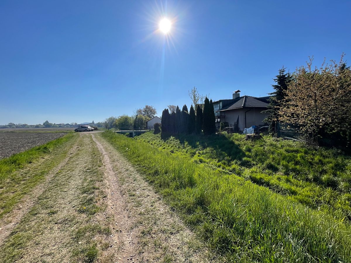 Prodej rodinného domu 288 m², pozemek 1132 m² – fotografie 4