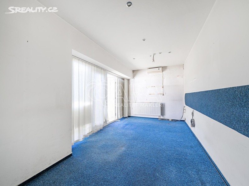 Pronájem obchodního prostoru 330 m² – další