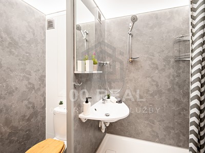 Pronájem bytu 1+kk 36 m²