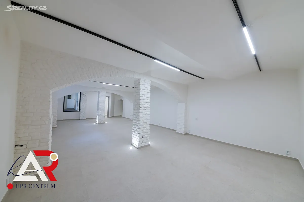 Prodej komerční nemovitosti 233 m² – pohled 4