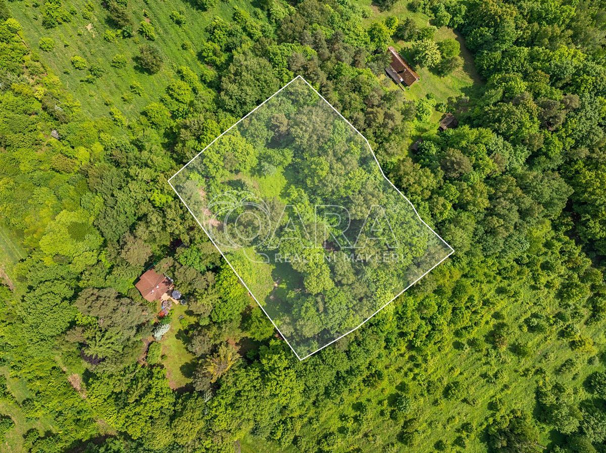 Prodej stavebního pozemku 5519 m² – fotografie 2
