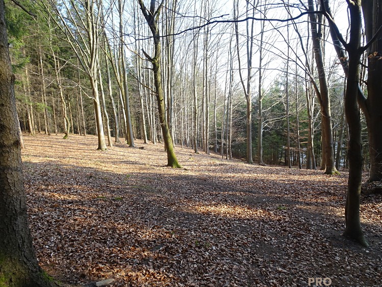 Prodej pozemku, 637 m² (8 z 14)