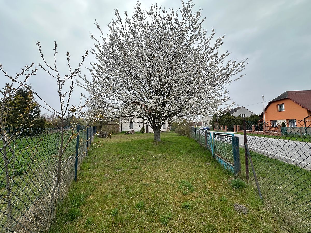 Prodej rodinného domu 150 m², pozemek 3560 m² – fotografie 5