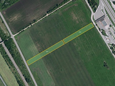 Prodej  pole 7 801 m²