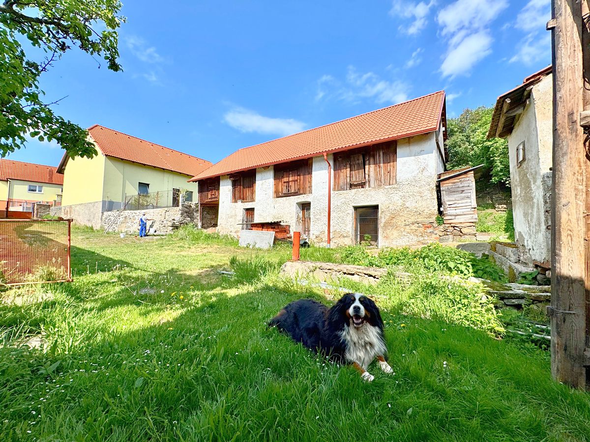 Prodej zemědělské usedlosti 293 m², pozemek 8775 m² – fotografie 2
