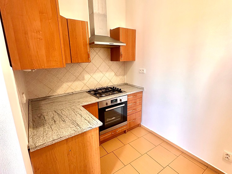 Pronájem bytu 1+1, 65 m² (8 z 21)