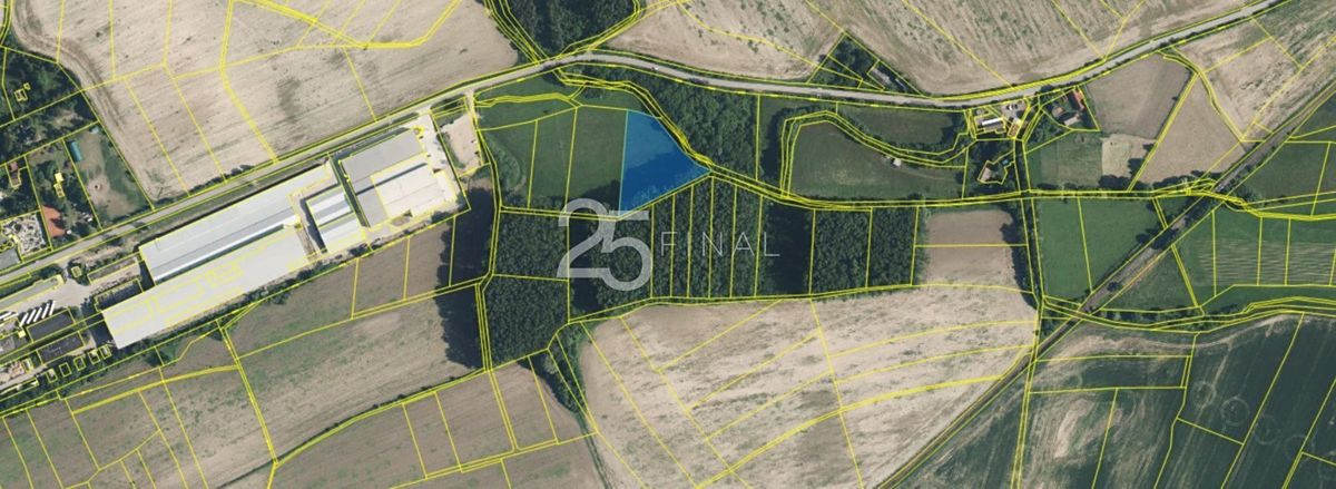 Prodej pole 5536 m² – fotografie 3