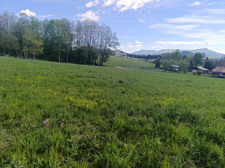Grundstück zum Kauf, 2.292 m² (4 von 10)