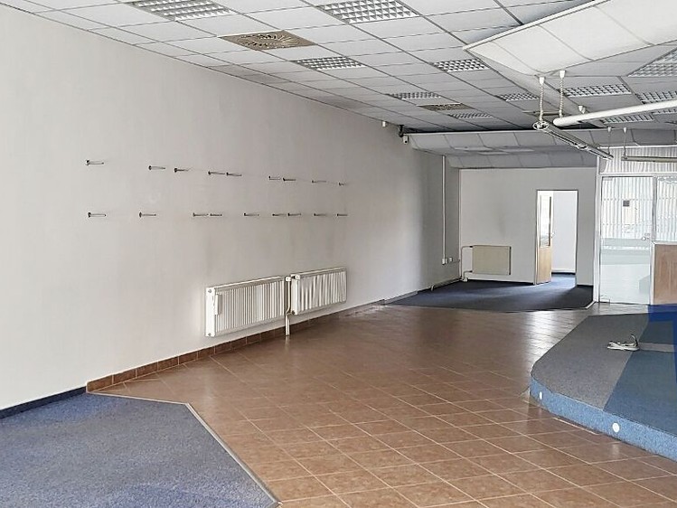 Pronájem komerčního prostoru, 318 m² (4 z 21)
