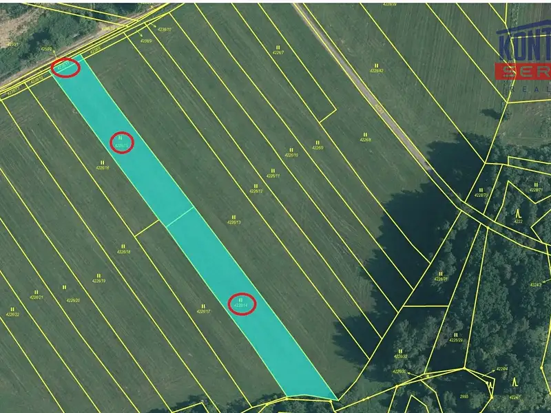 Prodej pole 11315 m², Veselí nad Lužnicí – náhled fotky 2