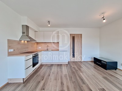 Pronájem bytu 1+kk 33 m²