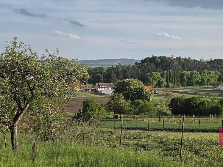 Ostatní