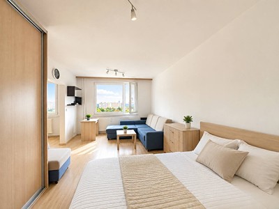 Pronájem bytu 1+1 39 m²