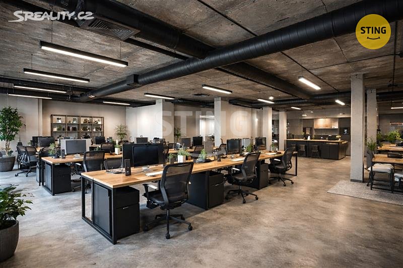 Pronájem obchodního prostoru 530 m² – další