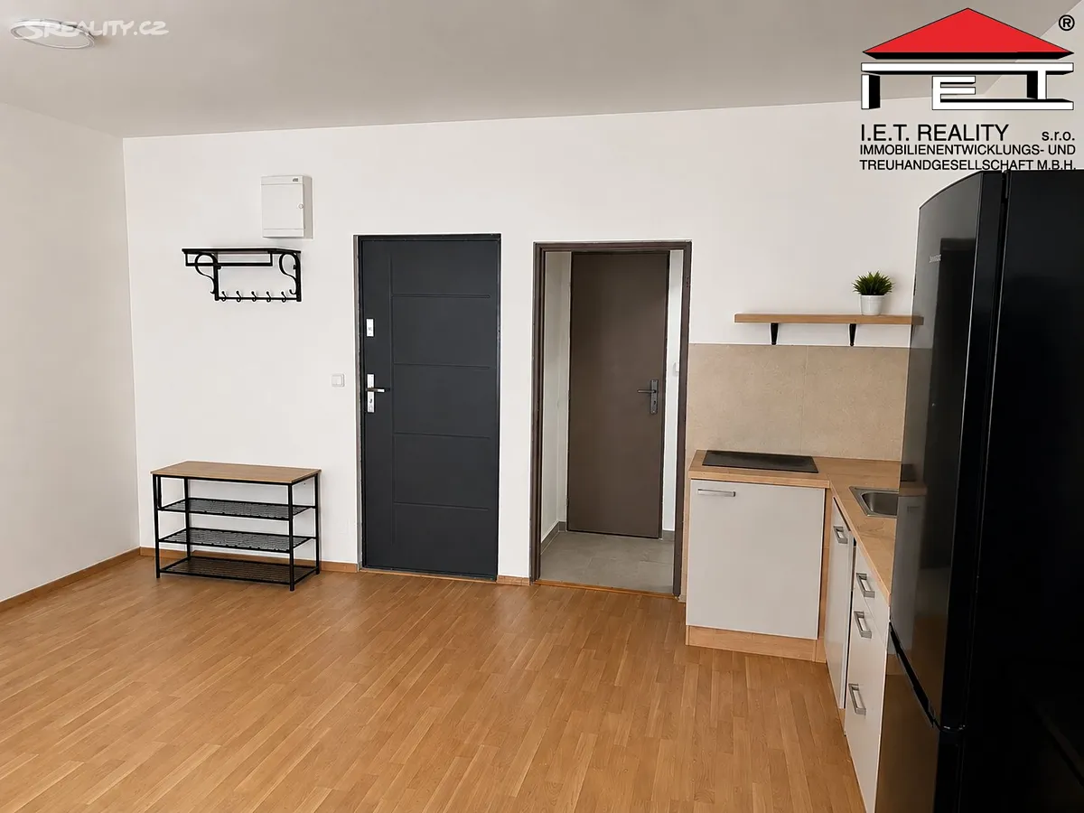 Pronájem bytu 1+kk 45 m² - View 2