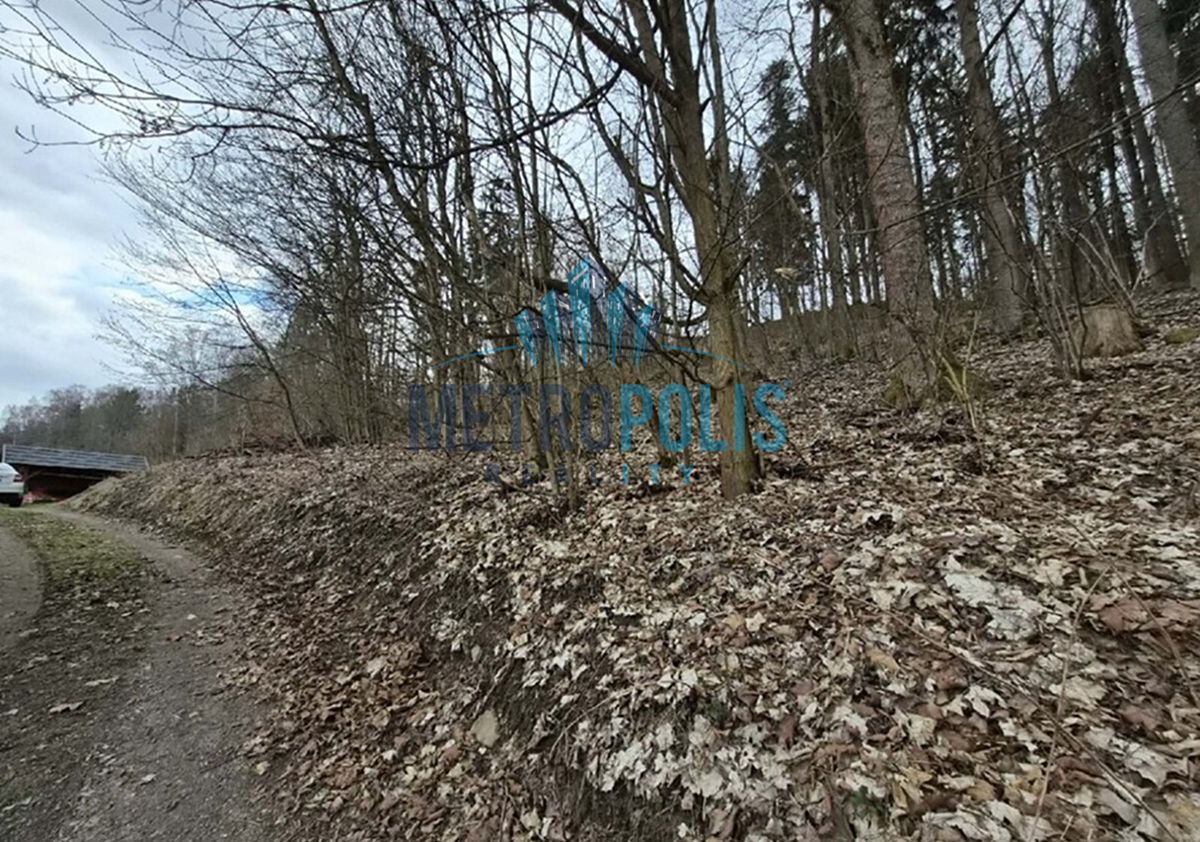 Prodej lesa 1939 m²