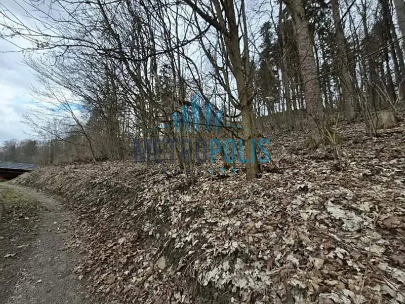 Prodej lesa 1939 m², Semily – náhled fotky 1