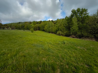 Prodej  louky 10 724 m²