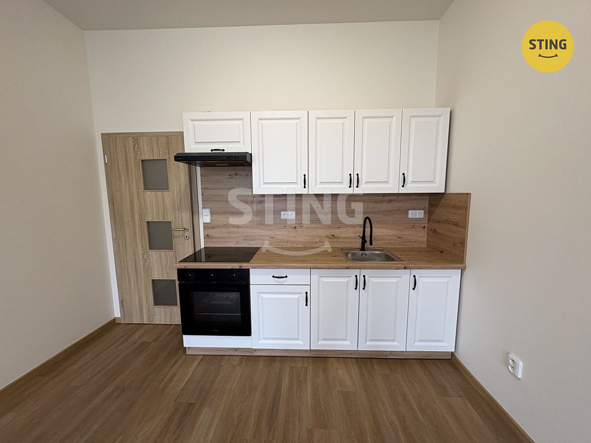 Pronájem bytu 1+kk 47 m² – fotografie 4